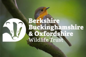 BBO Wildlife Trust case study