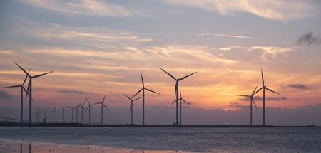 Wind Energy with SEAI Ireland