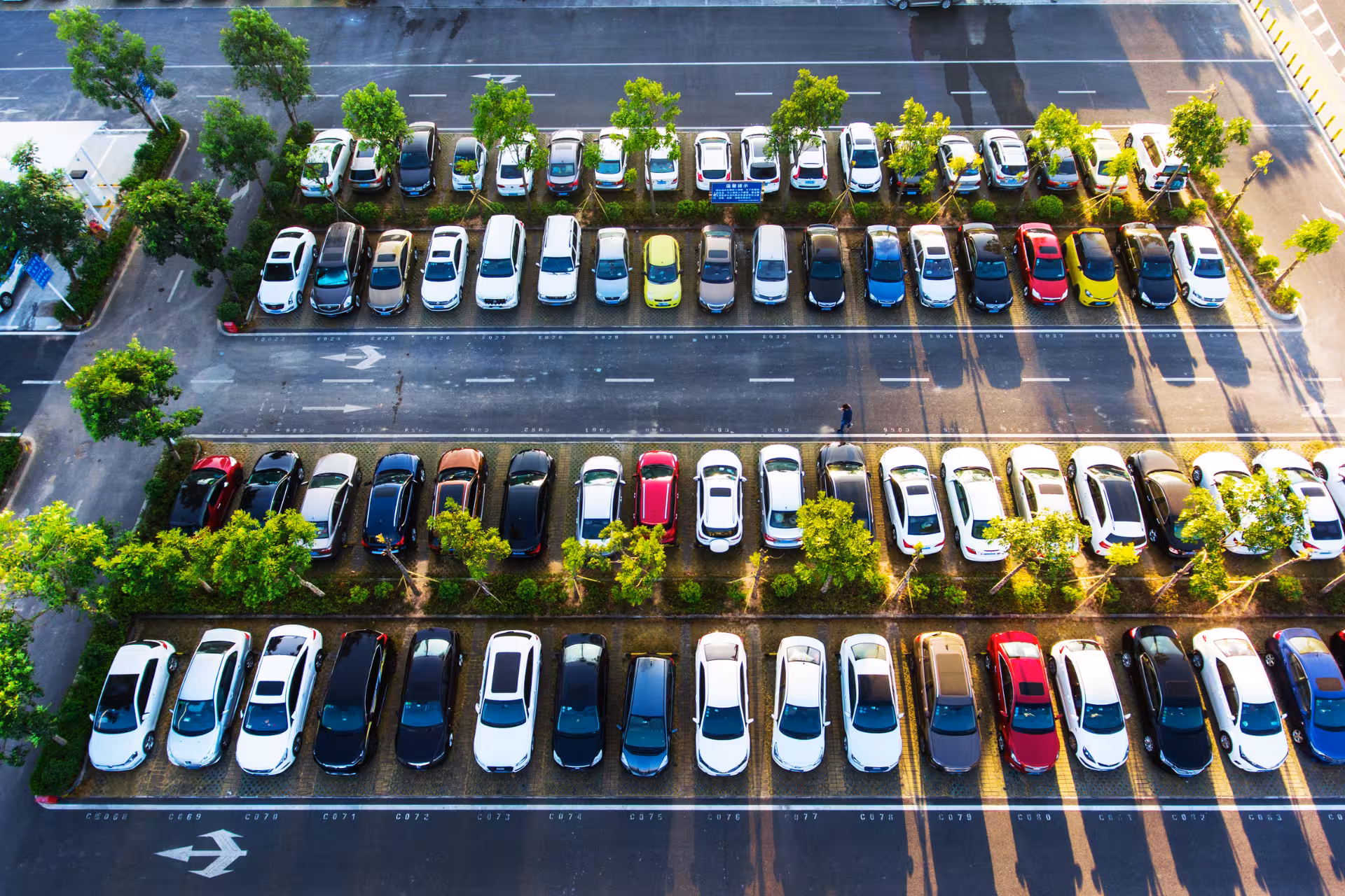 How to Create a Parking Policy for your Workplace