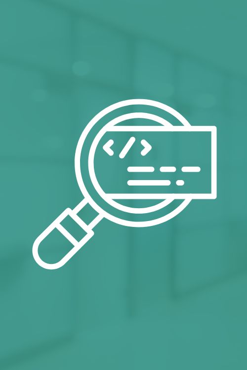 Software Testers